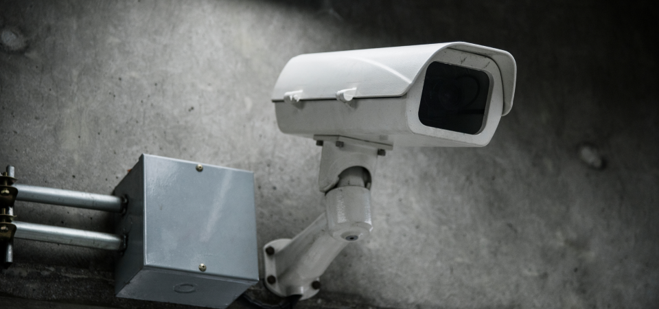 Section Video Banner Image